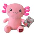 Kawai Kuties – Plyšové zvieratko 20 cm Axolotl