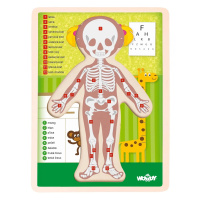 Puzzle – Ľudské telo dievča