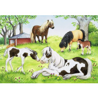 Puzzle 2x24 - Kone