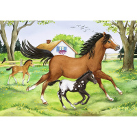 Puzzle 2x24 - Kone