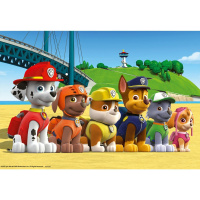 Puzzle 2x24 -  Paw Patrol
