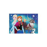 Puzzle 2x24 - Frozen 2