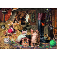 Puzzle 1000 - Mačiatka
