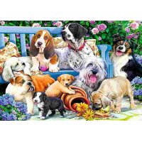 Puzzle 1000 – Psy