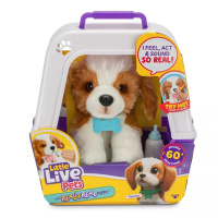 Little Live Pets - Šteniatko Patches