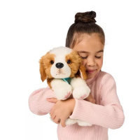 Little Live Pets - Šteniatko Patches
