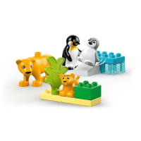 10442 Lego Duplo – Rodinky divokých zvierat: Tučniaky a levy