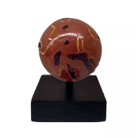 Medziplanetárny prieskumník - Mars