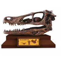 Albi Science - Lovci lebiek Velociraptor