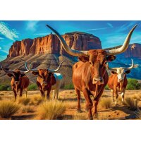 Puzzle 1000 – Texaský dlhorohý skot
