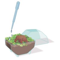 Mini terárium - Medveď