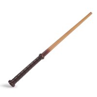 Harry Potter - Magické zberateľské prútiky - Profesori
