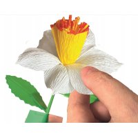 Výroba kvetov – Narcis