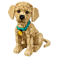 11384 Lego Icons - Šteňa zlatého retrievera