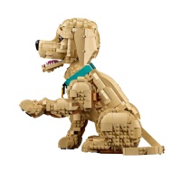 11384 Lego Icons - Šteňa zlatého retrievera