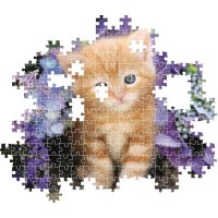 Puzzle 500 – Mačiatko