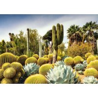 Puzzle 1000 –  Krásne záhrady: Huntington Garden, USA