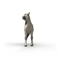 Schleich - Valach knabstrupský kôň 14916
