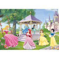 Puzzle 2x24 – Princezné