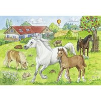 Puzzle 2x24 – Kone