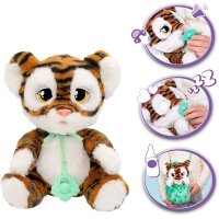 Baby Paws – Tiger