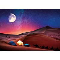 Puzzle Peace 500 – Hviezdna noc