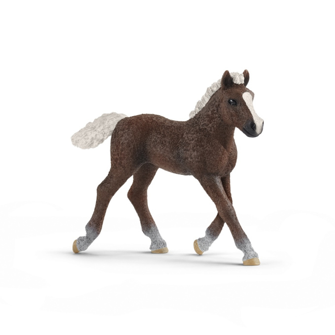 Schleich - Schwarzwaldské žriebä 13899