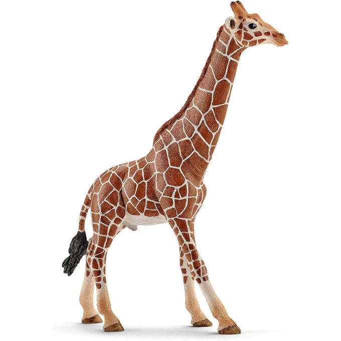 Schleich – Samec žirafy 14749