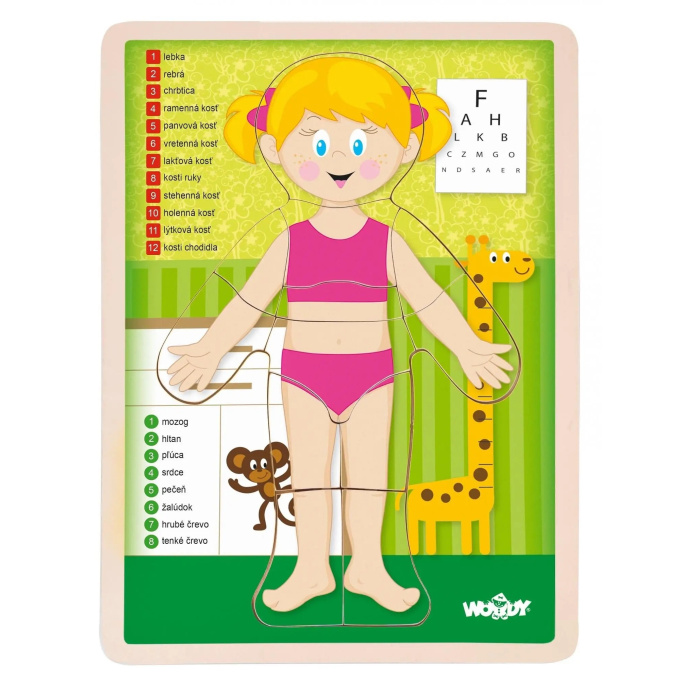 Puzzle – Ľudské telo dievča