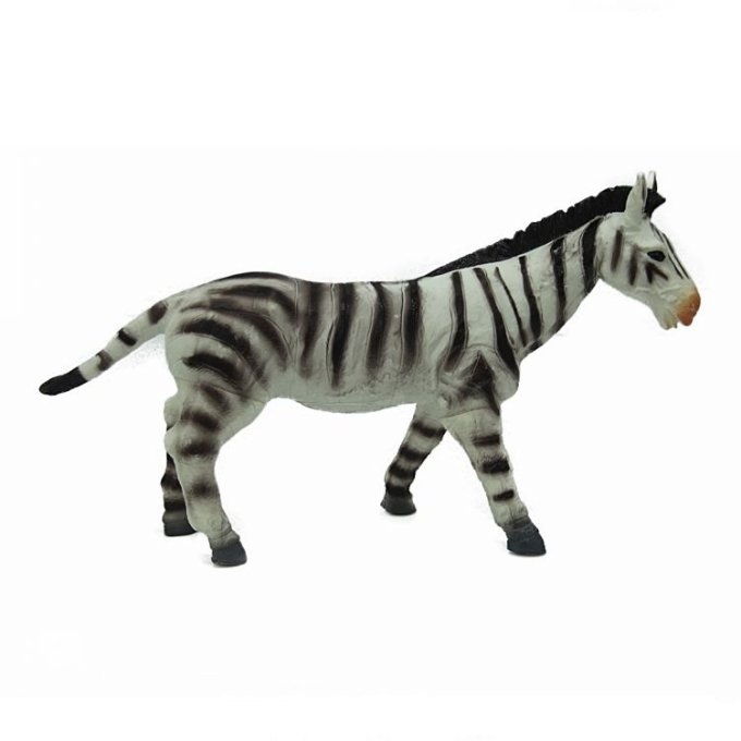 Divoké zvieratá Zebra