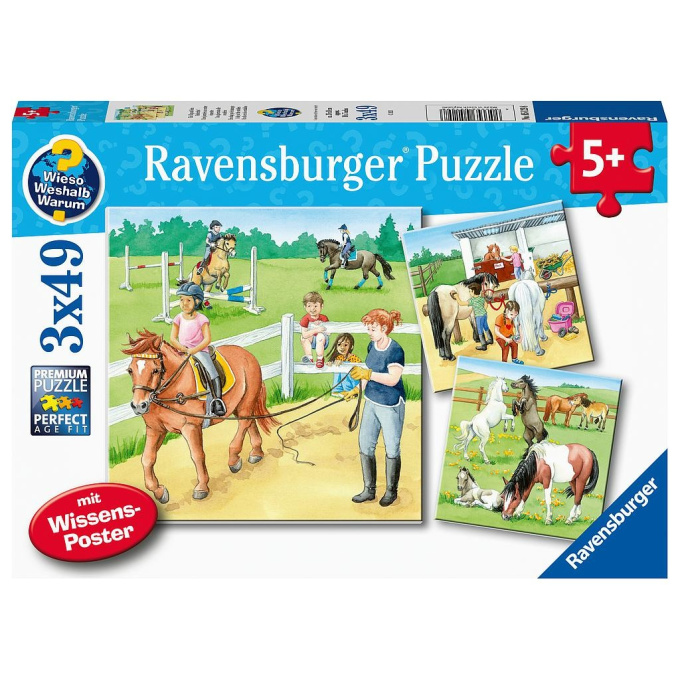 Puzzle - Kone 3v1