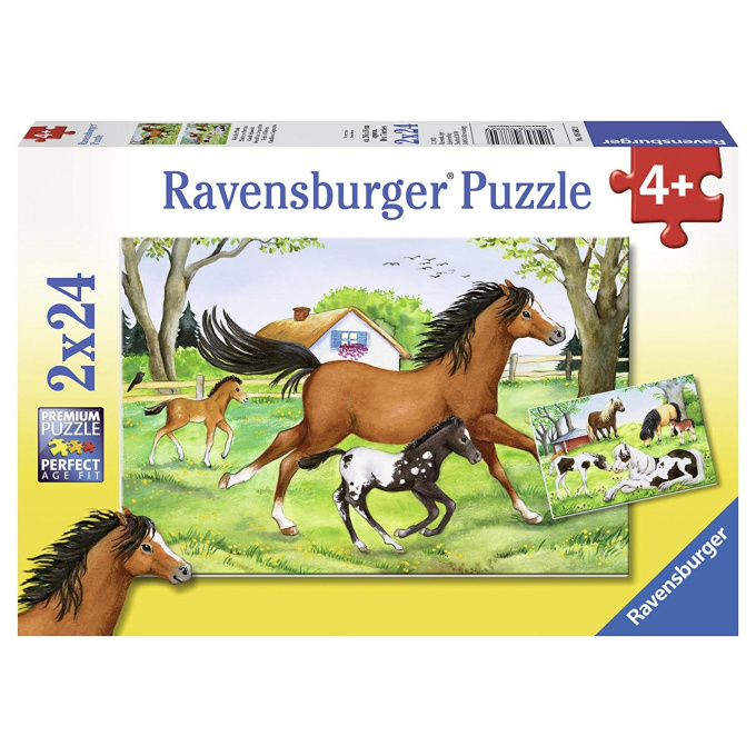 Puzzle 2x24 - Kone