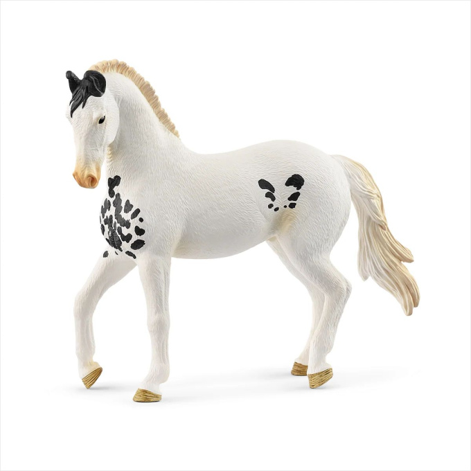Schleich – Žrebec Marwari 14898