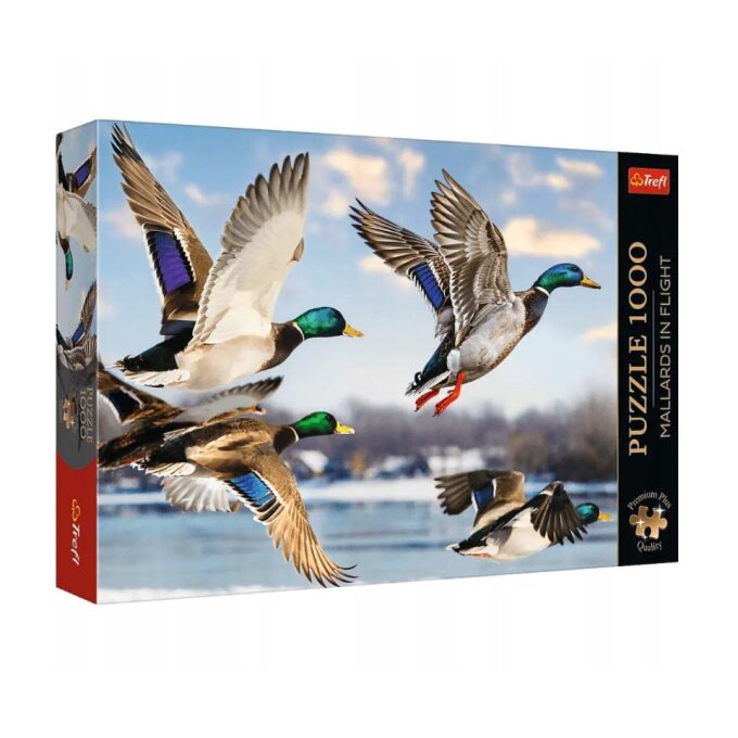 Puzzle 1000 – Divé kačice
