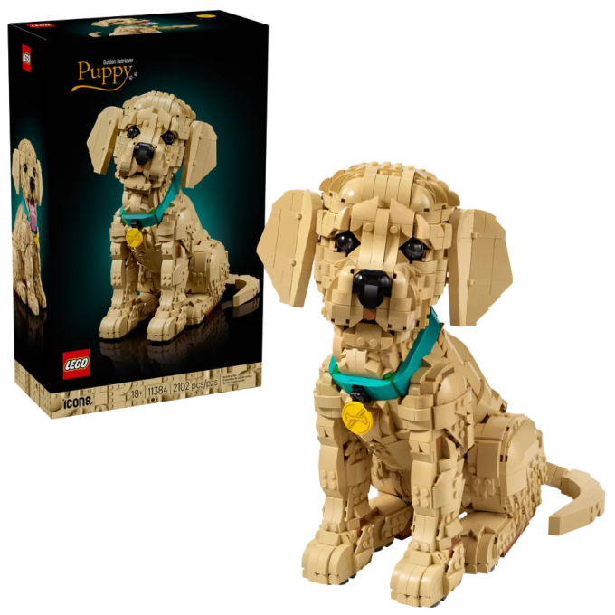 11384 Lego Icons - Šteňa zlatého retrievera