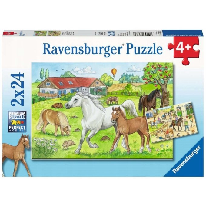 Puzzle 2x24 – Kone