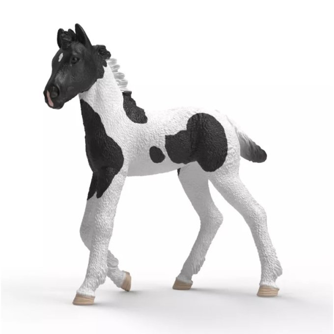 Schleich – Žriebätko Rocky 81481