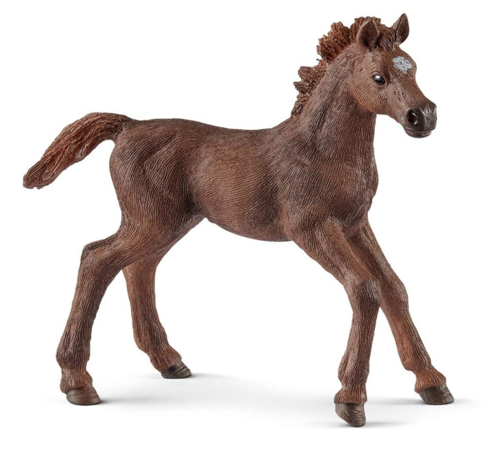 Schleich - Anglické plnokrvné žriebä 13857