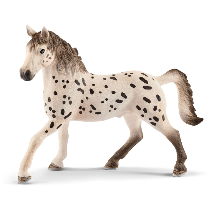 Schleich – Žrebec Knabstrupper 13889