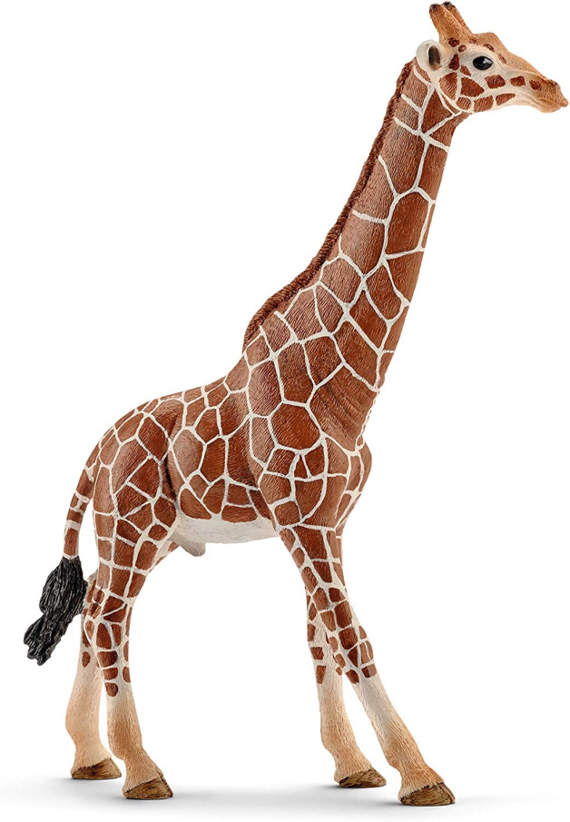 Schleich – Samec žirafy 14749