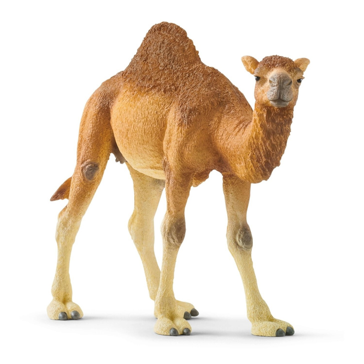 Schleich – Ťava jednohrbá 14832