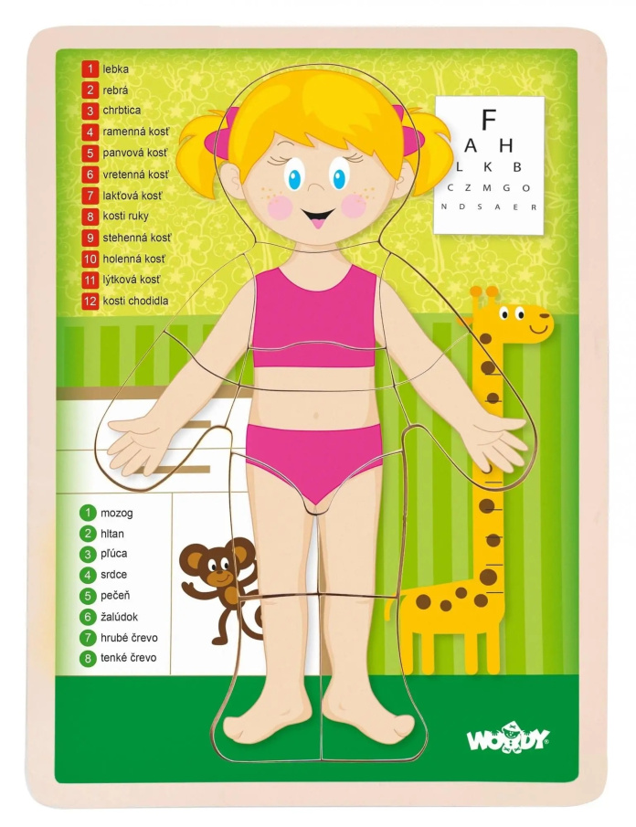 Puzzle – Ľudské telo dievča