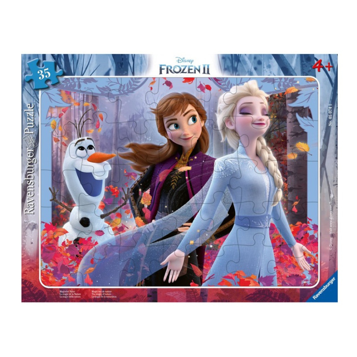 Puzzle 35 - Frozen 2