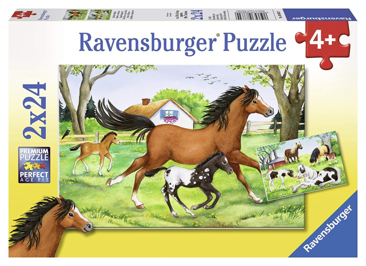Puzzle 2x24 - Kone