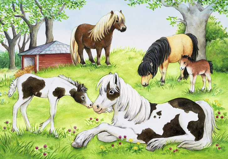 Puzzle 2x24 - Kone