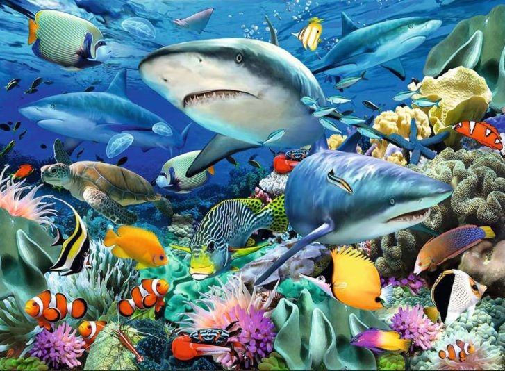 Puzzle 100 XXL - Morský svet
