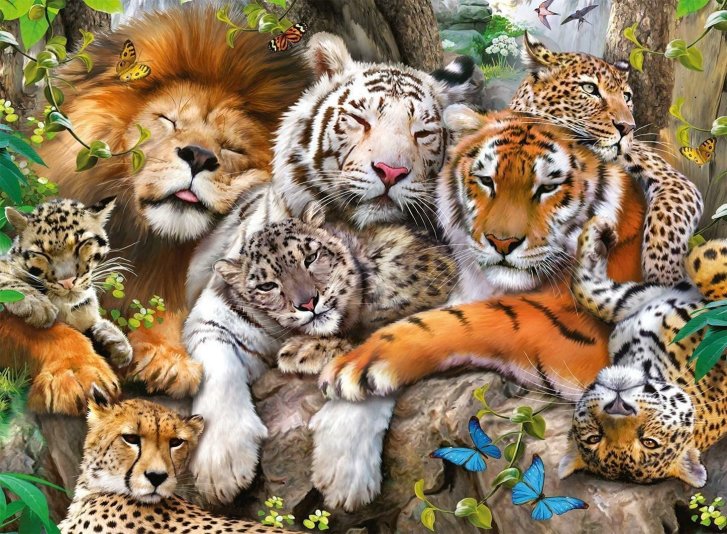 Puzzle 200 XXL - Mačkovité šelmy