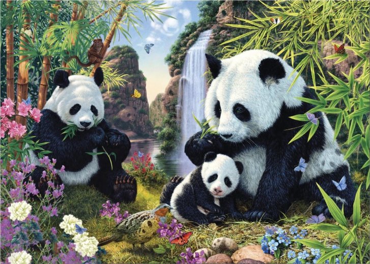 Puzzle 1000 - Pandy