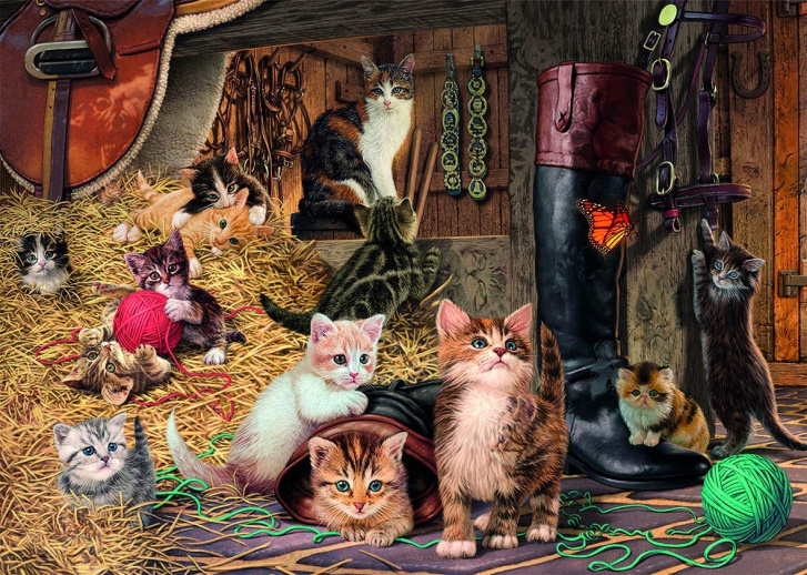Puzzle 1000 - Mačiatka