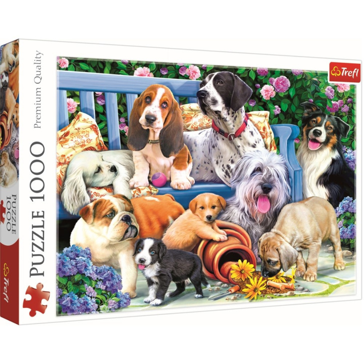 Puzzle 1000 – Psy